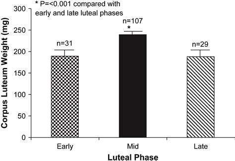 Baboon Corpus Luteum Size And Sex Steroid Secretion Throughout The