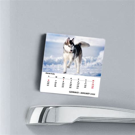 Calendario Magnetico Cani Gruppo Lozzi Editori