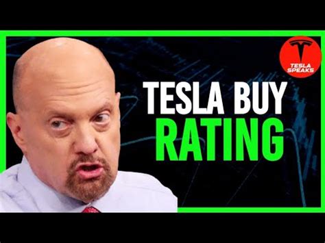 Experts Advice On Holding Tesla Stock For The Long Haul Tesla Price