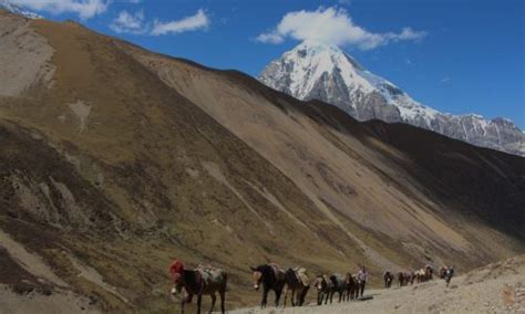 Bhutan COVID Travel Update | Trekking In Bhutan