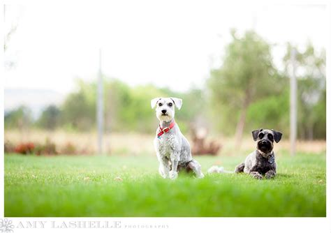 salt-lake-city-outdoor-family-portraits-128 - amy lashelle