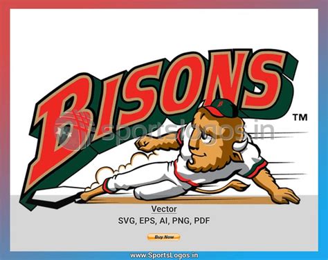 Buffalo Bisons - 1998-2008, International League, Baseball Sports Vector / SVG Logo in 5 formats