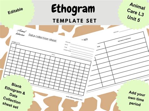 Animal behaviour ethogram templates | Teaching Resources