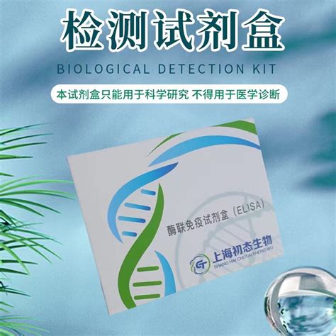 小鼠可溶性血管内皮生长因子受体1（sflt 1）elisa试剂盒 上海初态生物科技有限公司