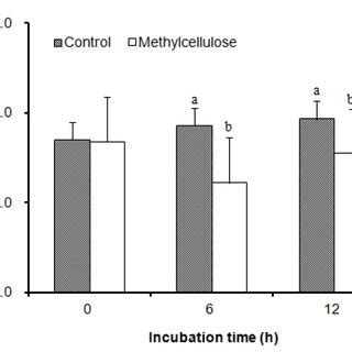 Attachment of Ruminococcus albus as influenced by rice straw ...