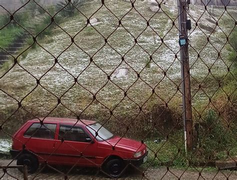 Ventania Em Nova Friburgo Derruba Rvores E Arranca Telhas Em Diversos