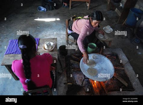 Indigenous Women Cooking On A Comal Stock Photo Alamy