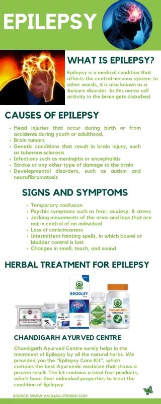 PPT Understanding Epilepsy Causes Symptoms And Treatment Options