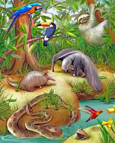 Wild Animals Paint By Numbers - Numeral Paint Kit