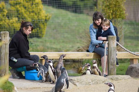 Peak Wildlife Park | Churnet Valley guide