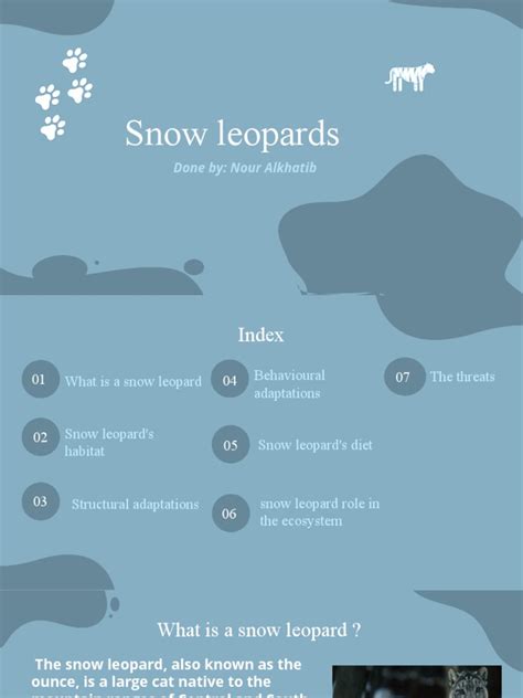 Structural and Behavioral Adaptations of the Snow Leopard: A ...