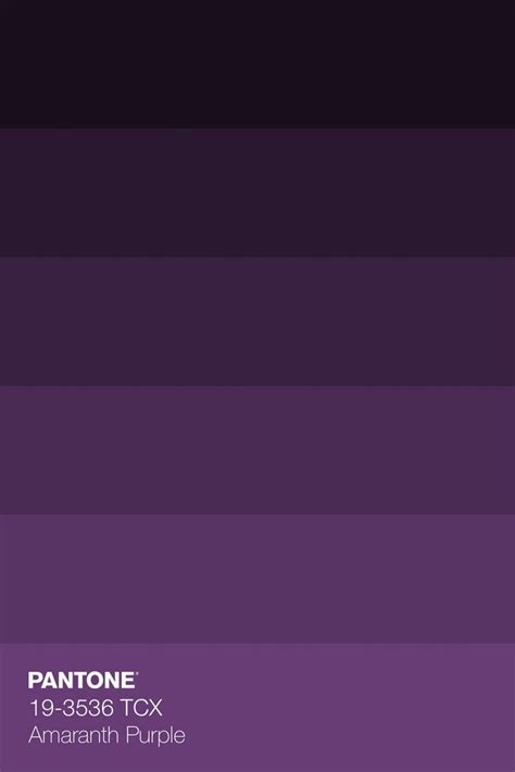 Pantone 19 3536 Tcx Amaranth Purple Color Shades In 2023 Violet Color Palette Purple Color