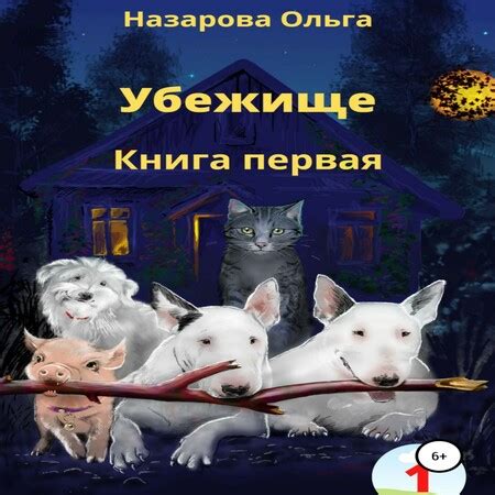 Аудиокнига Убежище. Книга 1 - Ольга Назарова - au-books.com