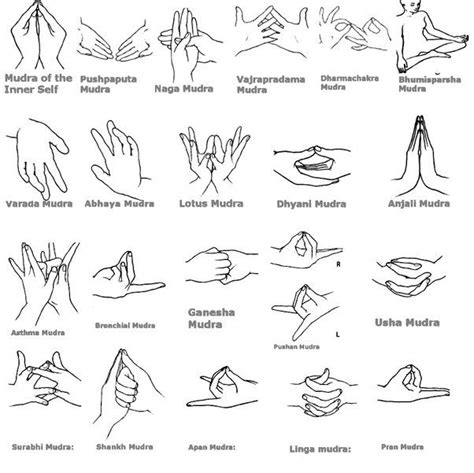 R S Rs Rajender En X Mudras Postures Body