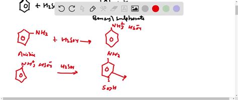 Solved Draw The Products Formed From The Acid Base Reaction Of H2so4 With Each Compound