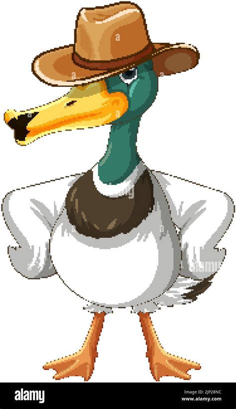 Wild duck wearing cowboy hat illustration Stock Vector Image & Art - Alamy