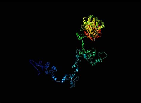 It Shows The I Tasser D Modeled Structure Of Hdac Using Ucsf Chimera