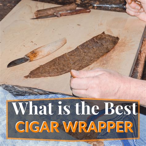 Discovering The World Of Cigar Wrappers A Comprehensive Guide To Types Whole Leaf Tobacco And