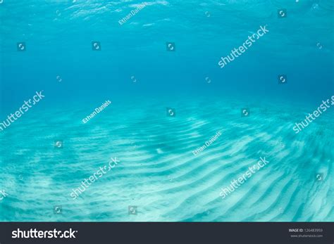 339,654 Caribbean Water Sand Images, Stock Photos & Vectors | Shutterstock