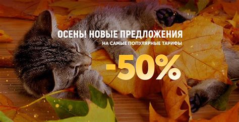 Мозырская оптоволоконная региональная сеть «МОРС» | Кабельное ...
