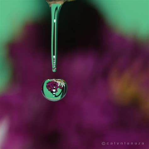 Split Second Water Drop Refraction Photography :: Behance