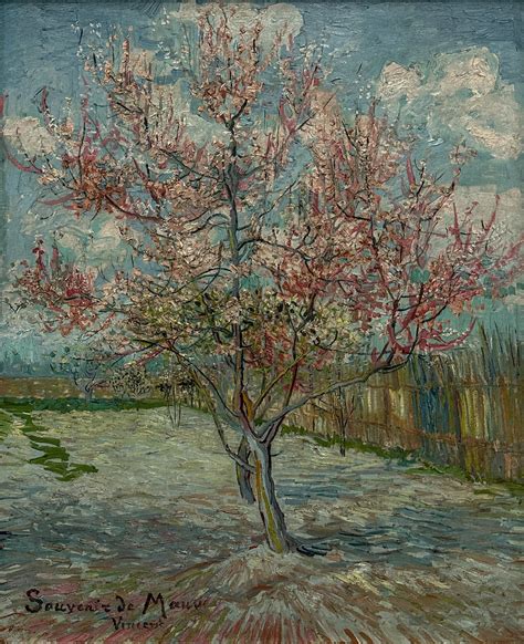 Vincent Van Gogh Pink Peach Trees Souvenir De Mau Flickr