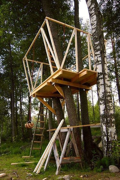 Como Hacer Casa En Un Arbol