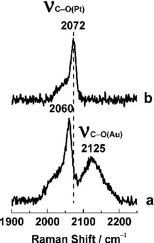 Sers And Shiners Spectra Showing Co Adsorption Bare Gold Nps Lower