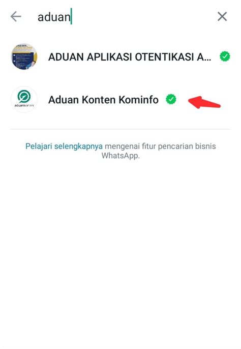 Cara Melaporkan Penipuan Online Via Whatsapp Agar Pelaku Jera