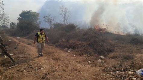 Sebides felicita a combatientes de incendios forestales en su día y