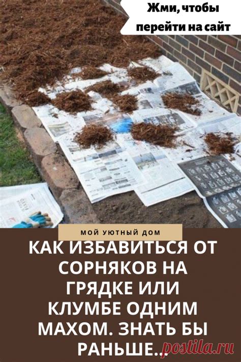 Как избавиться от сорняков на грядке | Дача, Огород | Постила