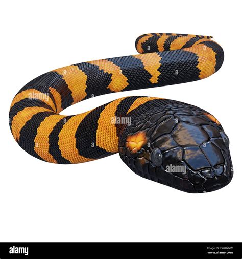 Bismarck Ringed Python 3d Illustration Stock Photo Alamy