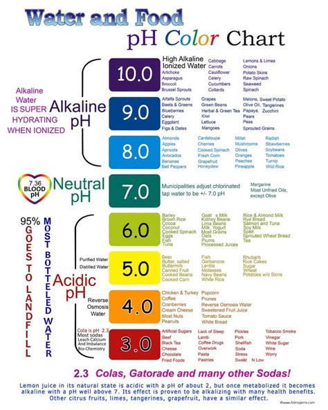 Water And Food Ph Color Chart | Etsy Alkaline Foods Chart, Alkaline ...