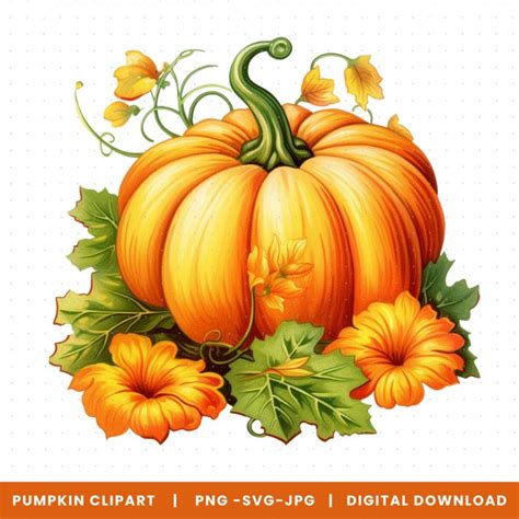 Svg Fall Pumpkin Clipart - High Quality Vector JPG, PNG, SVG - Digital ...