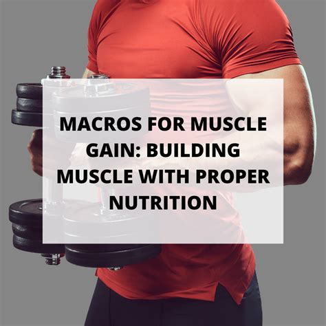 Macros For Muscle Gain Building Muscle With Proper Nutrition Macros