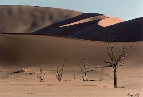 Namib Desert — Google Arts & Culture