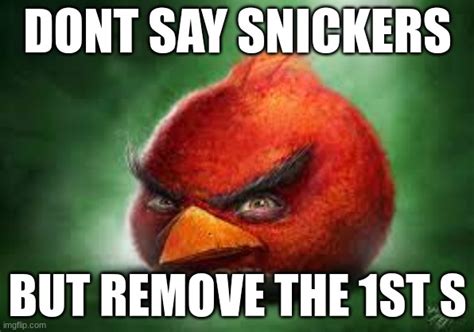 realistic red angry birds Memes & GIFs - Imgflip