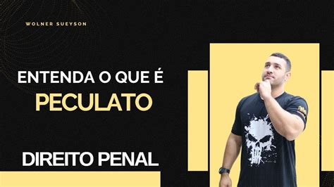 Crime De Peculato Direito Penal Crimes Contra A Administra O