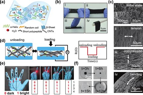 Degradable Mechanical Sensors Using Conductive Silk Fibroin Hydrogels