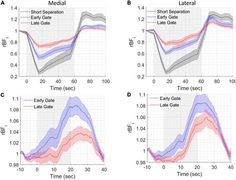 Frontiers Functional Time Domain Diffuse Correlation Spectroscopy