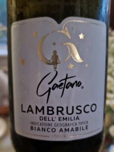 Gaetano Lambrusco Dell Emilia Bianco Amabile Vivino Italia