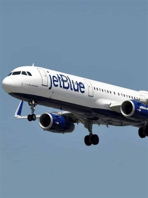 JetBlue Introduces New TrueBlue Loyalty Program Jetline Marvel