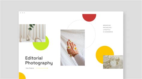 7 Website design trends for photographers - Pixieset Blog