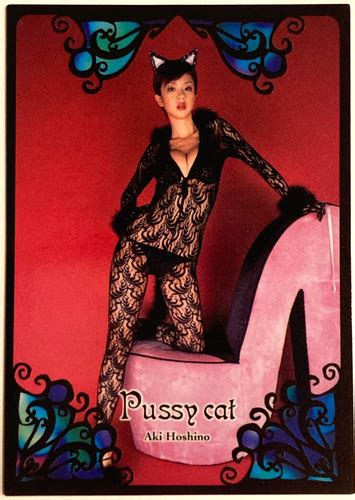 Aki Hoshino Trading Card Japan Gravure Costume Bikini Japanese Ebay