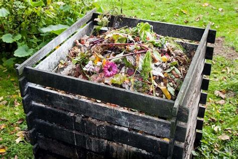 31+ Things You Should Never Put in Your Compost Heap - Conserve Energy ...