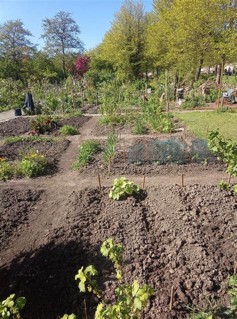 Tuin Huren Volkstuinvereniging De Boogerd