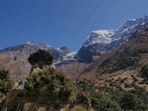 Nar Phu Valley Thoroung La Trek Trekking In Nepal