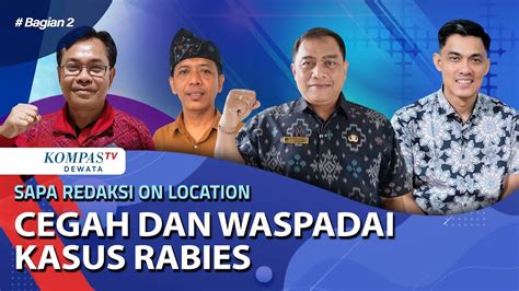 Cegah Dan Waspadai Kasus Rabies Sapa Redaksi On Location Part