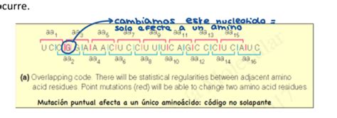 Caracter Sticas Generales De La Traducci N Flashcards Quizlet