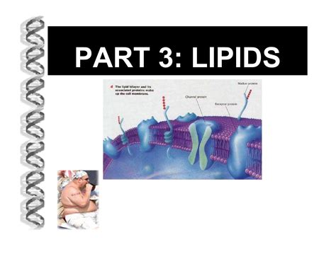 lipids